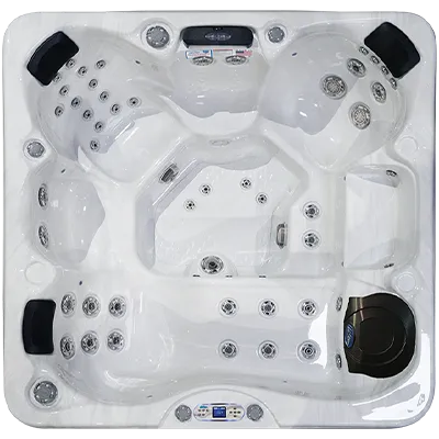 Avalon EC-849L hot tubs for sale in Milwaukee