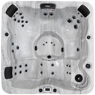 Pacifica-X EC-739LX hot tubs for sale in hot tubs spas for sale Milwaukee