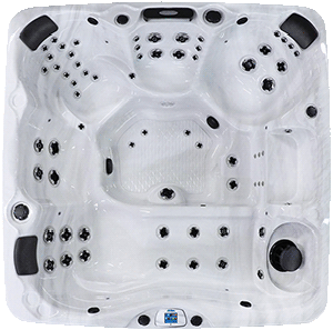 Avalon EC-867L hot tubs for sale in hot tubs spas for sale Milwaukee