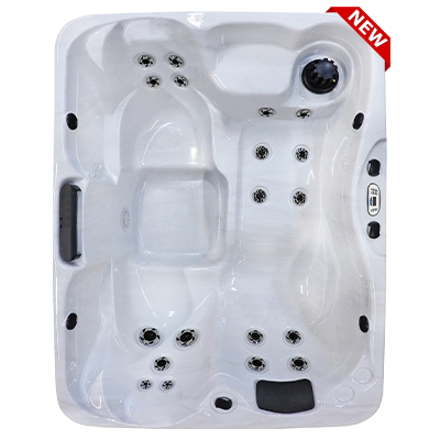 Kona PZ-519L hot tubs for sale in hot tubs spas for sale Milwaukee