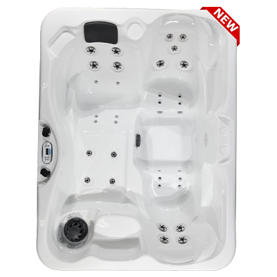 Kona PZ-535L hot tubs for sale in hot tubs spas for sale Milwaukee